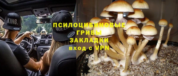 ALPHA PVP Горняк