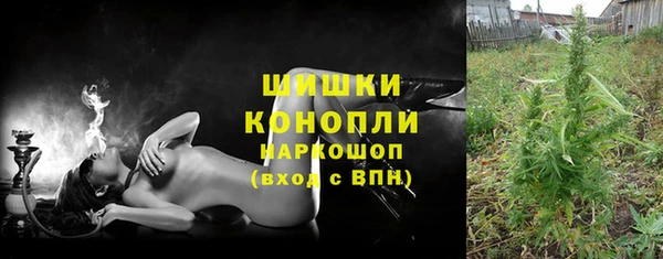 PSILOCYBIN Вязьма