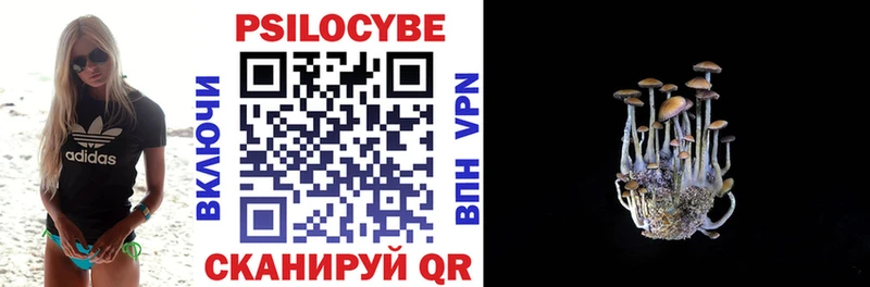 Галлюциногенные грибы GOLDEN TEACHER  Северодвинск 